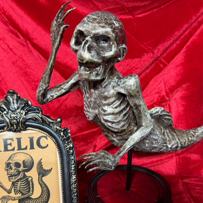 Fiji Mermaid for oddities and curiosities cabinet