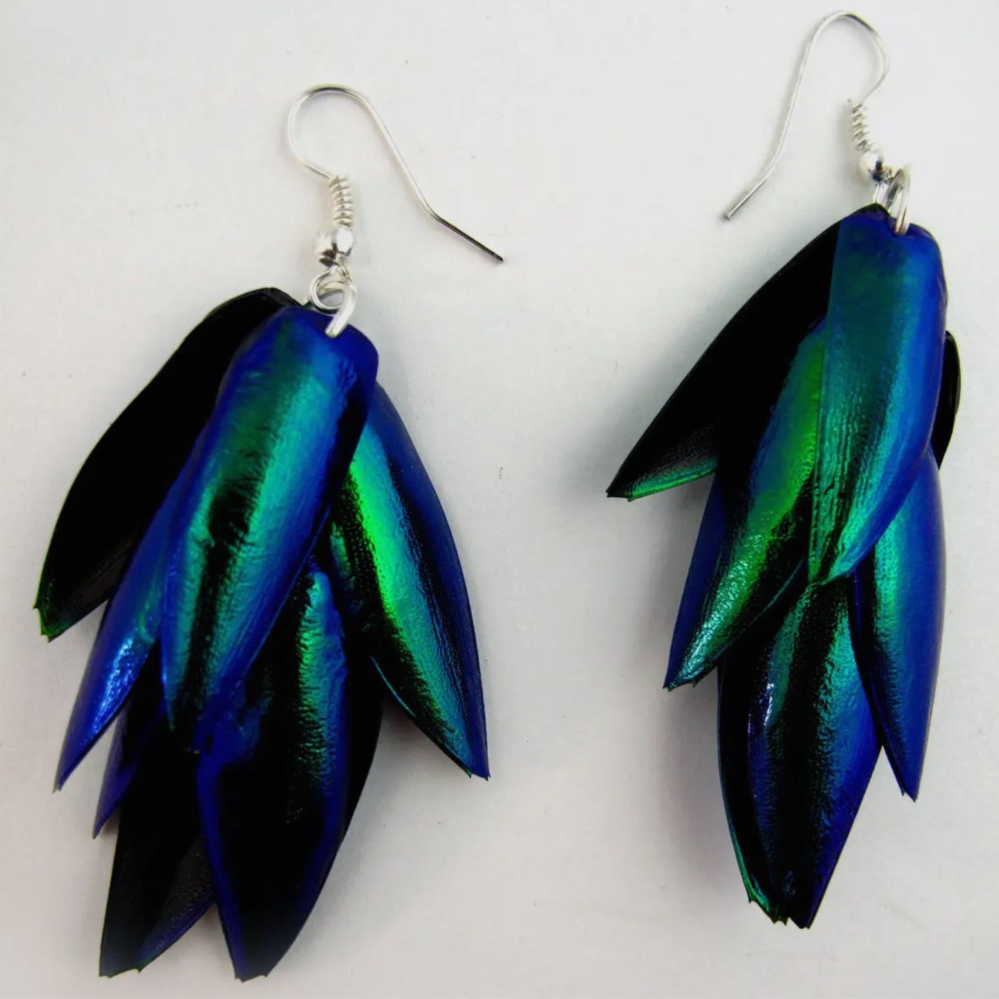 Real Emerald Beetle Wing Earrings