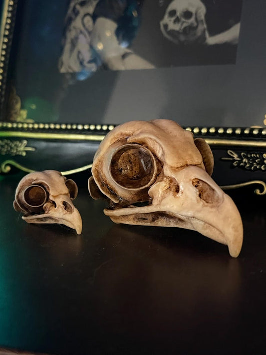 Regular and mini resin owl skull replicas by 13th Mausoleum