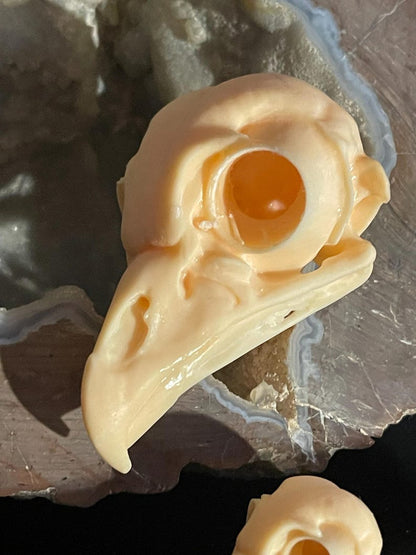 Detailed regular resin owl skull replica
