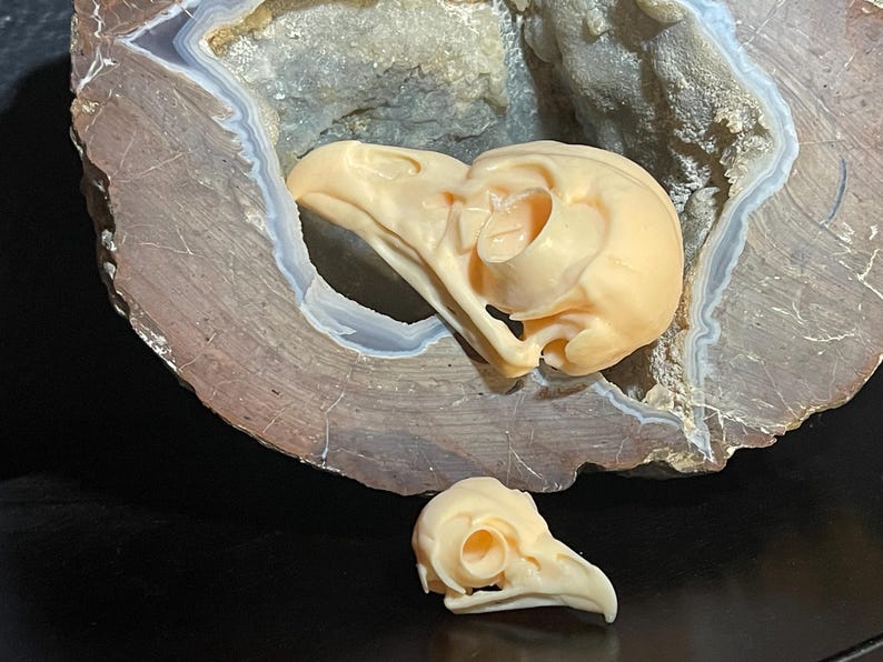 Regular and mini owl skull replicas displayed on a geode