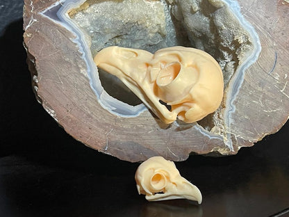 Regular and mini owl skull replicas displayed on a geode