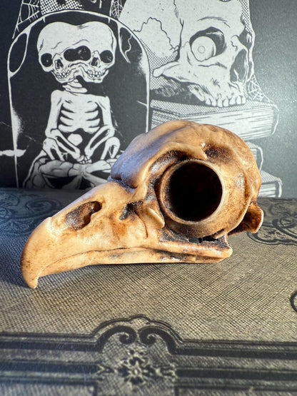 Owl skull replica displayed with gothic artwork
