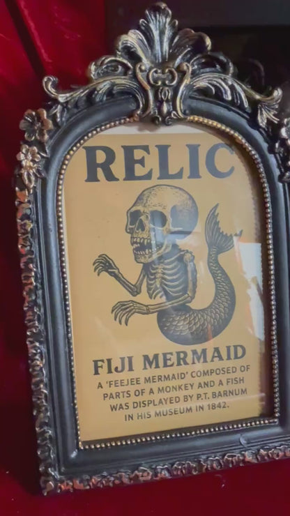Fiji Mermaid for oddities and curiosities cabinet