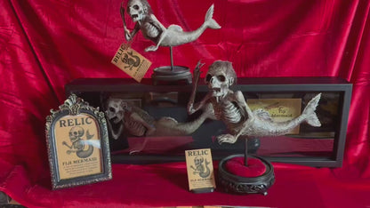 Fiji Mermaid for oddities and curiosities cabinet